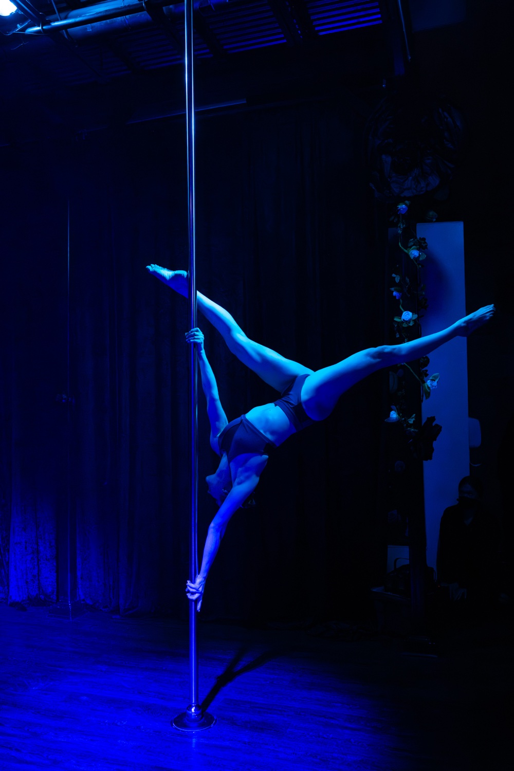 Pole dance artistry performance at Luna Aerial Dance & Performing Arts, Frederick Maryland. Photo: Erin White Photography